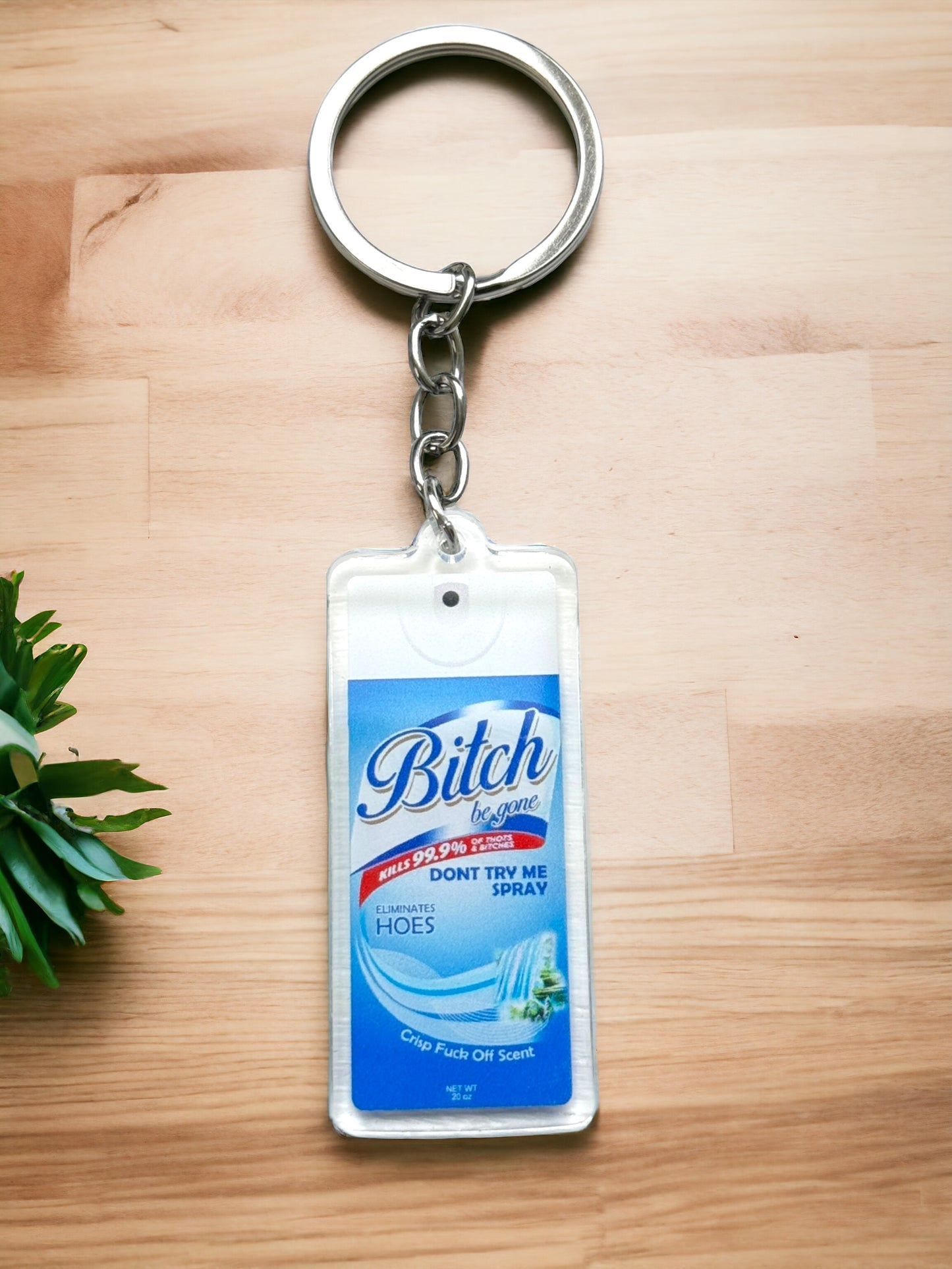 Funny Acrylic Keychains | Accessory Handmade Gift For Her | Personalized Charm | Unique Squirrel | Bitch Be Gone For Mum | House Nuts Eat