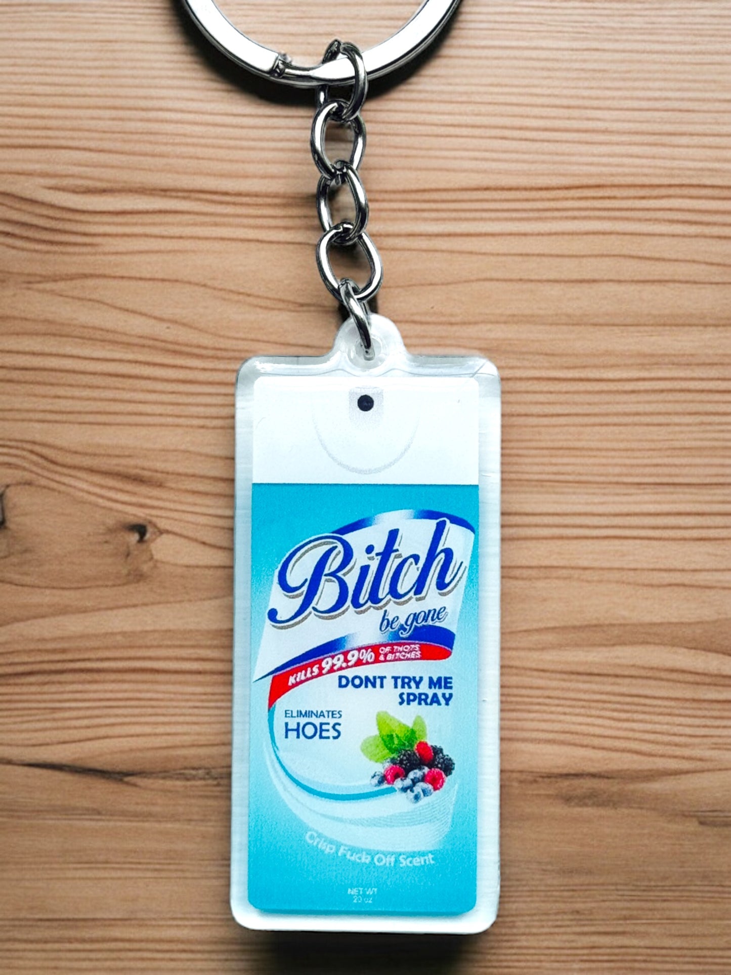 Funny Acrylic Keychains | Accessory Handmade Gift For Her | Personalized Charm | Unique Squirrel | Bitch Be Gone For Mum | House Nuts Eat