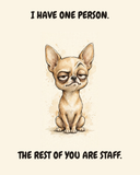 Judgmental Chihuahua watercolor art print — "I HAVE ONE PERSON. THE REST OF YOU ARE STAFF." Unframed print artwork.