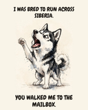 Furious Siberian Husky watercolor art print — "I WAS BRED TO RUN ACROSS SIBERIA. YOU WALKED ME TO THE MAILBOX." Unframed print artwork.