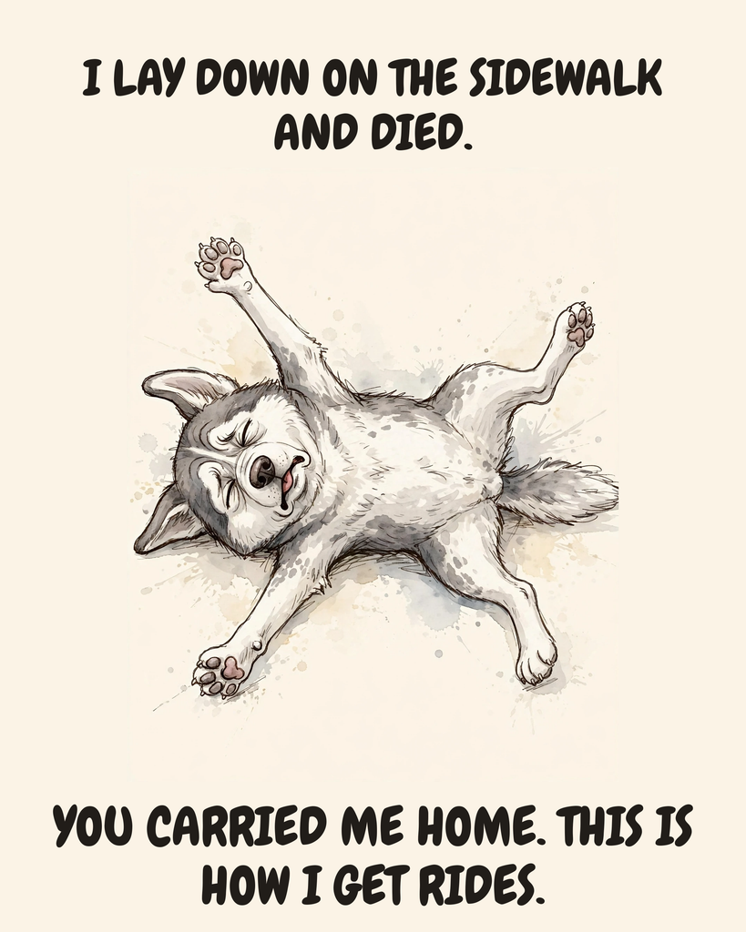 Exhausted Siberian Husky watercolor art print — "I LAY DOWN ON THE SIDEWALK AND DIED. YOU CARRIED ME HOME. THIS IS HOW I GET RIDES." Unframed print artwork.