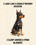 Smug Doberman Pinscher watercolor art print — "I LOOK LIKE A HIGHLY TRAINED ASSASSIN. I SLEEP UNDER A PINK BLANKET." Unframed print artwork.