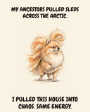 Smug Pomeranian watercolor art print — "MY ANCESTORS PULLED SLEDS ACROSS THE ARCTIC. I PULLED THIS HOUSE INTO CHAOS. SAME ENERGY." Unframed print artwork.