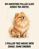 Smug Pomeranian watercolor art print — "MY ANCESTORS PULLED SLEDS ACROSS THE ARCTIC. I PULLED THIS HOUSE INTO CHAOS. SAME ENERGY." Unframed print artwork.