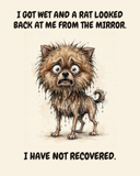 Horrified Pomeranian watercolor art print — "I GOT WET AND A RAT LOOKED BACK AT ME FROM THE MIRROR. I HAVE NOT RECOVERED." Unframed print artwork.