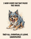 Furious Australian Shepherd watercolor art print — "I HERD EVERY CAR THAT PASSES THIS HOUSE. THEY ALL EVENTUALLY LEAVE. UNDEFEATED." Unframed print artwork.