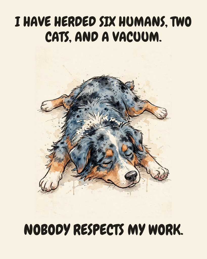 Exhausted Australian Shepherd watercolor art print — "I HAVE HERDED SIX HUMANS, TWO CATS, AND A VACUUM. NOBODY RESPECTS MY WORK." Unframed print artwork.