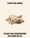 Exhausted French Bulldog watercolor art print — "I HAVE TWO MODES. ASLEEP AND DISAPPOINTED YOU WOKE ME UP." Unframed print artwork.