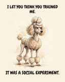 Judgmental Poodle watercolor art print — "I LET YOU THINK YOU TRAINED ME. IT WAS A SOCIAL EXPERIMENT." Unframed print artwork.