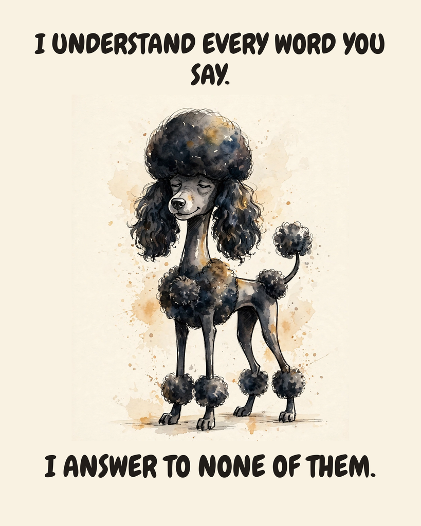 Smug Poodle watercolor art print — "I UNDERSTAND EVERY WORD YOU SAY. I ANSWER TO NONE OF THEM." Unframed print artwork.
