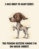Furious — The Point German Shorthaired Pointer watercolor art print — "I WAS BRED TO HUNT BIRDS. THE PIGEON OUTSIDE KNOWS I'M ON HOUSE ARREST." Unframed print artwork.