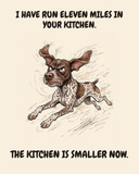 Furious — The Mileage German Shorthaired Pointer watercolor art print — "I HAVE RUN ELEVEN MILES IN YOUR KITCHEN. THE KITCHEN IS SMALLER NOW." Unframed print artwork.