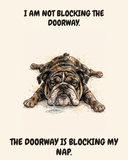 Unbothered English Bulldog watercolor art print — "I AM NOT BLOCKING THE DOORWAY. THE DOORWAY IS BLOCKING MY NAP." Unframed print artwork.