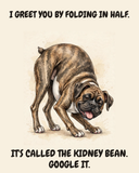 Unbothered — The Kidney Bean Boxer watercolor art print — "I GREET YOU BY FOLDING IN HALF. IT'S CALLED THE KIDNEY BEAN. GOOGLE IT." Unframed print artwork.