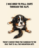 Exhausted Bernese Mountain Dog watercolor art print — "I WAS BRED TO PULL CARTS THROUGH THE ALPS. TODAY I MOVED FROM THE SUNBEAM TO THE RUG. THAT IS ALL THE MOUNTAIN GETS." Unframed print artwork.