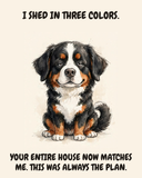 Unbothered Bernese Mountain Dog watercolor art print — "I SHED IN THREE COLORS. YOUR ENTIRE HOUSE NOW MATCHES ME. THIS WAS ALWAYS THE PLAN." Unframed print artwork.