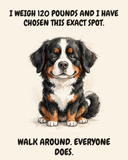 Unbothered Bernese Mountain Dog watercolor art print — "I WEIGH 120 POUNDS AND I HAVE CHOSEN THIS EXACT SPOT. WALK AROUND. EVERYONE DOES." Unframed print artwork.