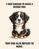 Unbothered Bernese Mountain Dog watercolor art print — "I SHED ENOUGH TO MAKE A SECOND DOG. THAT DOG ALSO REFUSES TO MOVE." Unframed print artwork.