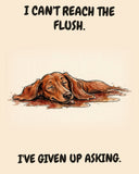 Dachshund watercolor art print with the saying "I CAN'T REACH THE FLUSH. I'VE GIVEN UP ASKING."