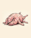 Wordless unbothered Pig watercolor art print — the artwork alone on a warm cream background, no text