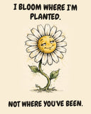 Daisies watercolor art print with the saying "I BLOOM WHERE I'M PLANTED. NOT WHERE YOU'VE BEEN."