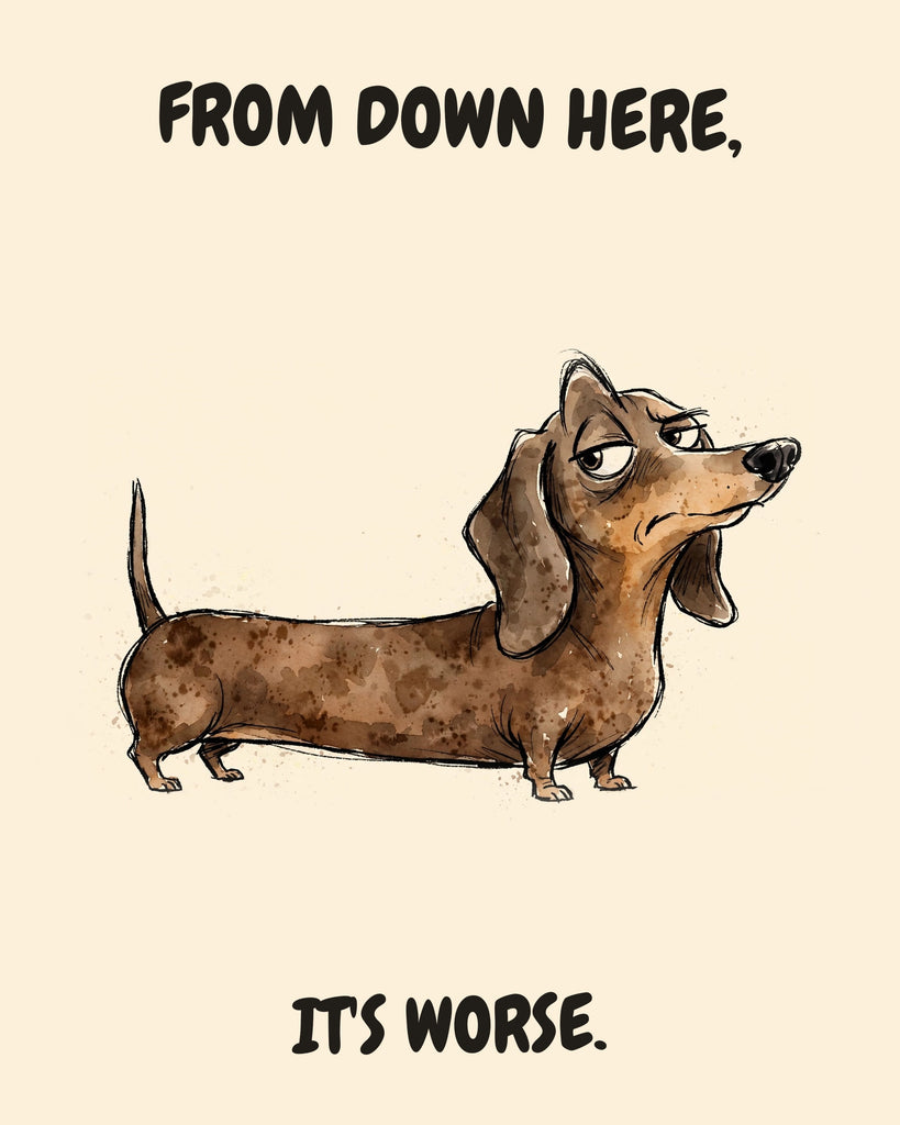 Dachshund watercolor art print with the saying "FROM DOWN HERE, IT'S WORSE."