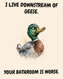 Mallard watercolor art print with the saying "I LIVE DOWNSTREAM OF GEESE. YOUR BATHROOM IS WORSE."