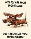 Dachshund watercolor art print with the saying "MY LEGS ARE FOUR INCHES LONG. WHY IS THE TOILET PAPER ON THE CEILING?"