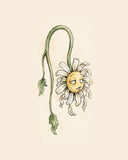 Wordless exhausted Daisies watercolor art print — the artwork alone on a warm cream background, no text