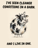 Cow watercolor art print with the saying "I'VE SEEN CLEANER CONDITIONS IN A BARN. AND I LIVE IN ONE."