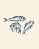 Wordless unbothered Sardines watercolor art print — the artwork alone on a warm cream background, no text