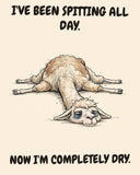 Llama watercolor art print with the saying "I'VE BEEN SPITTING ALL DAY. NOW I'M COMPLETELY DRY."