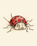 Wordless unbothered Ladybug watercolor art print — the artwork alone on a warm cream background, no text