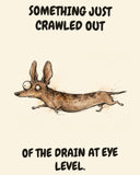 Dachshund watercolor art print with the saying "SOMETHING JUST CRAWLED OUT OF THE DRAIN AT EYE LEVEL."