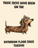 Dachshund watercolor art print with the saying "THOSE SOCKS HAVE BEEN ON THE BATHROOM FLOOR SINCE TUESDAY."
