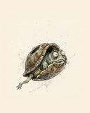 Wordless horrified Turtle watercolor art print — the artwork alone on a warm cream background, no text