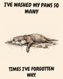 Otter watercolor art print with the saying "I'VE WASHED MY PAWS SO MANY TIMES I'VE FORGOTTEN WHY."