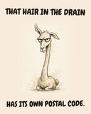 Llama watercolor art print with the saying "THAT HAIR IN THE DRAIN HAS ITS OWN POSTAL CODE."