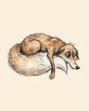 Wordless exhausted Fox watercolor art print — the artwork alone on a warm cream background, no text