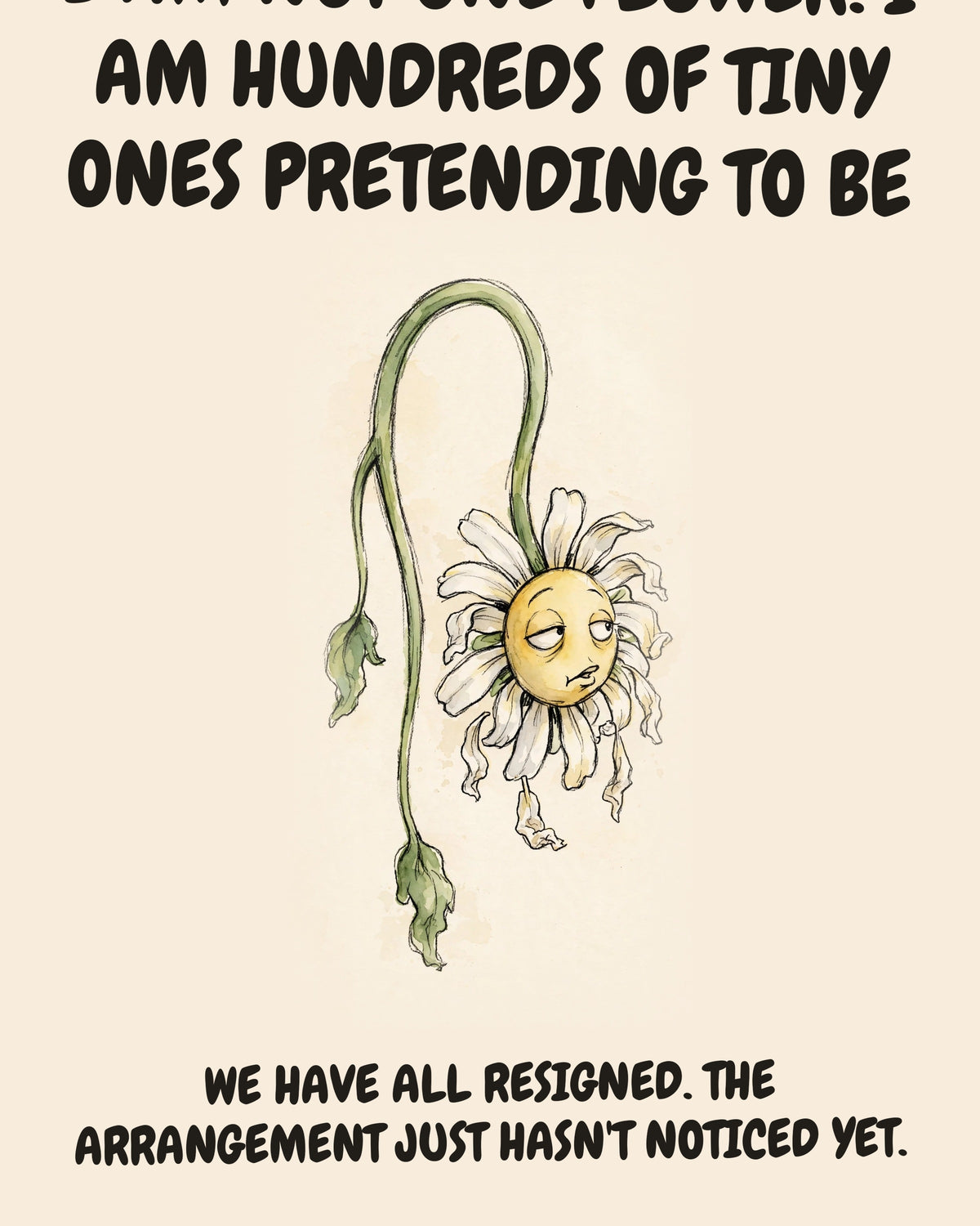 Daisies watercolor art print with the saying "I AM NOT ONE FLOWER. I AM HUNDREDS OF TINY ONES PRETENDING TO BE A SINGLE EMPLOYEE. WE HAVE ALL RESIGNED. THE ARRANGEMENT JUST HASN'T NOTICED YET."