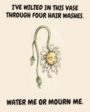 Daisies watercolor art print with the saying "I'VE WILTED IN THIS VASE THROUGH FOUR HAIR WASHES. WATER ME OR MOURN ME."
