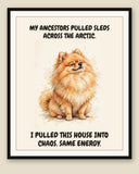 Framed display mockup — frame not included. Smug Pomeranian art print.