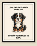 Framed display mockup — frame not included. Unbothered Bernese Mountain Dog art print.