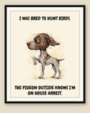 Framed display mockup — frame not included. Furious — The Point German Shorthaired Pointer art print.