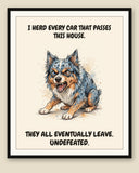 Framed display mockup — frame not included. Furious Australian Shepherd art print.