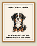 Framed display mockup — frame not included. Unbothered Bernese Mountain Dog art print.