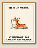 Framed display mockup — frame not included. Smug — Regal Front Pembroke Welsh Corgi art print.