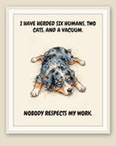 Framed display mockup — frame not included. Exhausted Australian Shepherd art print.