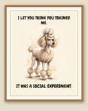 Framed display mockup — frame not included. Judgmental Poodle art print.