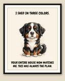 Framed display mockup — frame not included. Unbothered Bernese Mountain Dog art print.